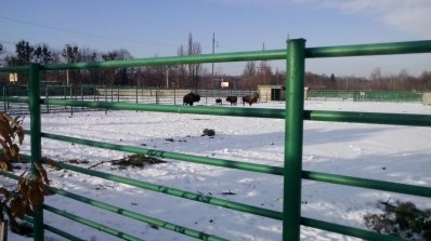 АТ «Вінницяобленерго» – особистий кабінет, передати покази лічильника, кол-центр 0 (800) 30-95-95 Як енергетики рятували птаха_2