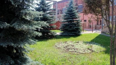 АТ «Вінницяобленерго» – особистий кабінет, передати покази лічильника, кол-центр 0 (800) 30-95-95 16 квітня - Всеукраїнський день довкілля_7