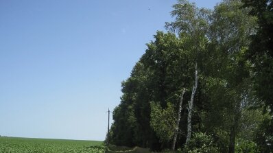 АТ «Вінницяобленерго» – особистий кабінет, передати покази лічильника, кол-центр 0 (800) 30-95-95 Спека крадіям не завадила_2