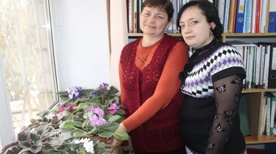 АТ «Вінницяобленерго» – особистий кабінет, передати покази лічильника, кол-центр 0 (800) 30-95-95 Чи то осінь? Ні - фіалкова весна._3