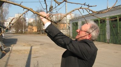 АТ «Вінницяобленерго» – особистий кабінет, передати покази лічильника, кол-центр 0 (800) 30-95-95 Весна – час оновлення і прибирання_1