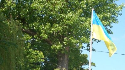 АТ «Вінницяобленерго» – особистий кабінет, передати покази лічильника, кол-центр 0 (800) 30-95-95 Триває конкурс професійної майстерності електромонтерів_4