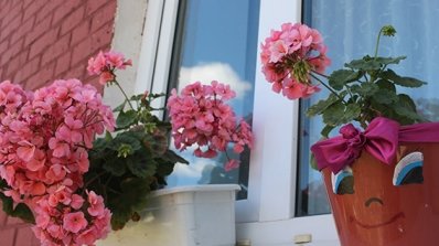 АТ «Вінницяобленерго» – personal account, transmit meter readings, call center 0 (800) 217-217 Про красу, що прикрашає світ та тішить душу_16