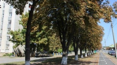 АТ «Вінницяобленерго» – особистий кабінет, передати покази лічильника, кол-центр 0 (800) 30-95-95 Енергетики підтримали Всесвітній день без автомобіля_5