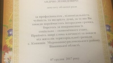 АТ «Вінницяобленерго» – особистий кабінет, передати покази лічильника, кол-центр 0 (800) 30-95-95 Сьогодні - День місцевого самоврядування_7