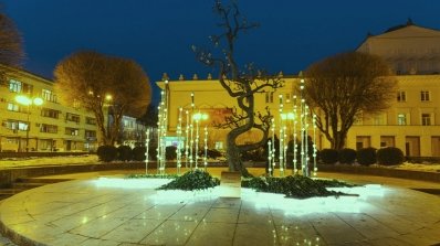 АТ «Вінницяобленерго» – особистий кабінет, передати покази лічильника, кол-центр 0 (800) 30-95-95 У лютому 2014-ого-небо падало, взимку 2018-ого-сніжило цвітом нерозквітлої вишні_16