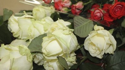 АТ «Вінницяобленерго» – особистий кабінет, передати покази лічильника, кол-центр 0 (800) 30-95-95 Приємні радості для жінок_26