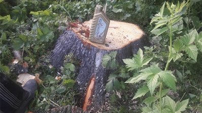 АТ «Вінницяобленерго» – особистий кабінет, передати покази лічильника, кол-центр 0 (800) 30-95-95 Лінії електропередач - об’єкти підвищеної небезпеки!_4