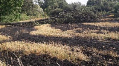 АТ «Вінницяобленерго» – особистий кабінет, передати покази лічильника, кол-центр 0 (800) 30-95-95 Лінії електропередач - об’єкти підвищеної небезпеки!_5