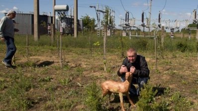 АТ «Вінницяобленерго» – personal account, transmit meter readings, call center 0 (800) 217-217 Корисна праця до Дня еколога_9