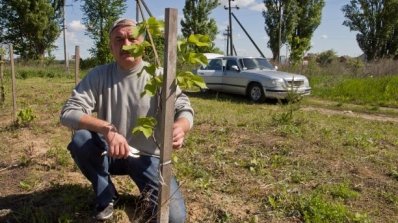 АТ «Вінницяобленерго» – personal account, transmit meter readings, call center 0 (800) 217-217 Корисна праця до Дня еколога_8