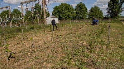АТ «Вінницяобленерго» – personal account, transmit meter readings, call center 0 (800) 217-217 Корисна праця до Дня еколога_11