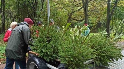 АТ «Вінницяобленерго» – personal account, transmit meter readings, call center 0 (800) 217-217 Енергетики підтримали екологічну акцію "Озеленення України"._2