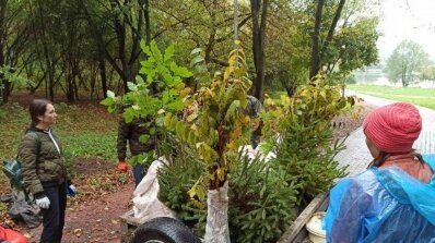 АТ «Вінницяобленерго» – personal account, transmit meter readings, call center 0 (800) 217-217 Енергетики підтримали екологічну акцію "Озеленення України"._5