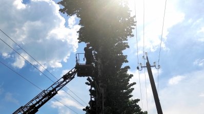 АТ «Вінницяобленерго» – personal account, transmit meter readings, call center 0 (800) 217-217 Розчистка трас повітряних ліній – це необхідність. _5