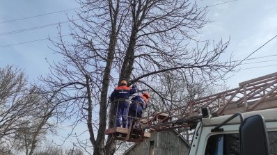 АТ «Вінницяобленерго» – особистий кабінет, передати покази лічильника, кол-центр 0 (800) 30-95-95 Працюємо єдиним фронтом._2