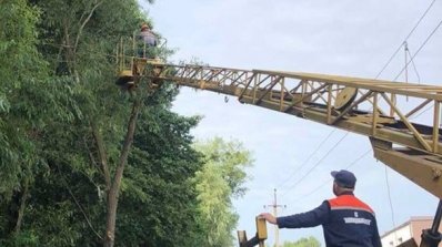 АТ «Вінницяобленерго» – особистий кабінет, передати покази лічильника, кол-центр 0 (800) 30-95-95 ПРО ЧИСТКУ ТРАС ЕЛЕКТРОЛІНІЙ.  _1