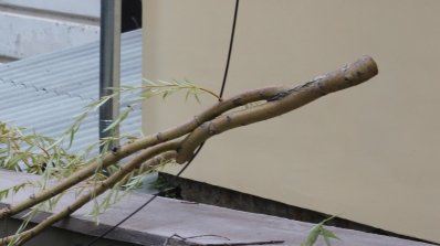АТ «Вінницяобленерго» – особистий кабінет, передати покази лічильника, кол-центр 0 (800) 30-95-95 ЕНЕРГЕТИКИ ЛІКВІДОВУЮТЬ НАСЛІДКИ НЕГОДИ._4