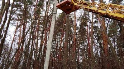 АТ «Вінницяобленерго» – особистий кабінет, передати покази лічильника, кол-центр 0 (800) 30-95-95 ПРО СЕЗОН ЧИСТКИ ТРАС ЕЛЕКТРОЛІНІЙ._2