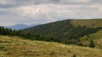 АТ «Вінницяобленерго» – особистий кабінет, передати покази лічильника, кол-центр 0 (800) 30-95-95 З Днем туризму, друзі!_16