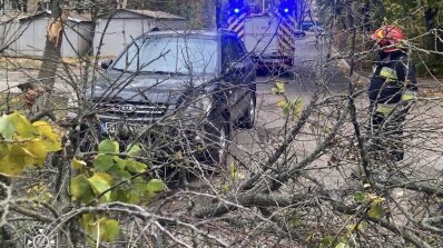 АТ «Вінницяобленерго» – особистий кабінет, передати покази лічильника, кол-центр 0 (800) 30-95-95 Наслідки негоди подолано._2