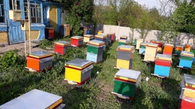 АТ «Вінницяобленерго» – особистий кабінет, передати покази лічильника, кол-центр 0 (800) 30-95-95 Про наших колег - бджолярів_5