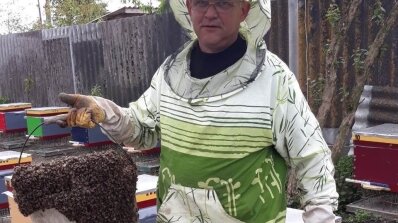 АТ «Вінницяобленерго» – особистий кабінет, передати покази лічильника, кол-центр 0 (800) 30-95-95 Про наших колег - бджолярів_1