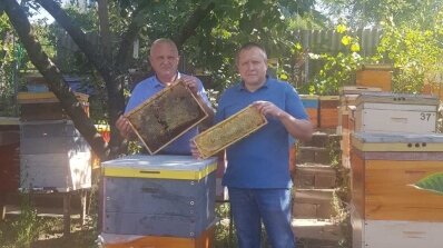АТ «Вінницяобленерго» – особистий кабінет, передати покази лічильника, кол-центр 0 (800) 30-95-95 Про наших колег - бджолярів_2