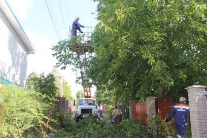 АТ «Вінницяобленерго» – особистий кабінет, передати покази лічильника, кол-центр 0 (800) 30-95-95 Розчистка трас повітряних ліній–це безпека для споживачів_0