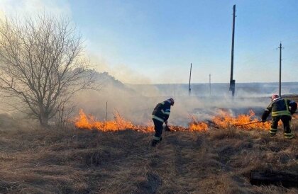 АТ «Вінницяобленерго» – особистий кабінет, передати покази лічильника, кол-центр 0 (800) 30-95-95 Не паліть сухостій! _0