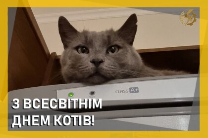 АТ «Вінницяобленерго» – особистий кабінет, передати покази лічильника, кол-центр 0 (800) 30-95-95 З всесвітнім днем котів!_0