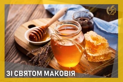 АТ «Вінницяобленерго» – особистий кабінет, передати покази лічильника, кол-центр 0 (800) 30-95-95 ЗІ СВЯТОМ МАКОВІЯ_0