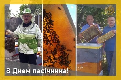 АТ «Вінницяобленерго» – особистий кабінет, передати покази лічильника, кол-центр 0 (800) 30-95-95 Про наших колег - бджолярів_0