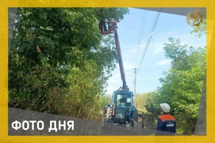 АТ «Вінницяобленерго» – особистий кабінет, передати покази лічильника, кол-центр 0 (800) 30-95-95 Розчистка трас ЛЕП триває_0