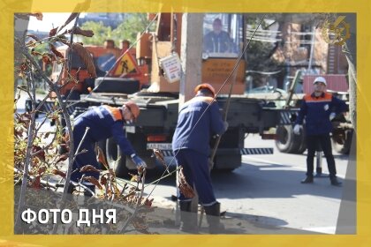 АТ «Вінницяобленерго» – особистий кабінет, передати покази лічильника, кол-центр 0 (800) 30-95-95 Фото дня_0