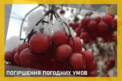 АТ «Вінницяобленерго» – особистий кабінет, передати покази лічильника, кол-центр 0 (800) 30-95-95 Попередження від синоптиків_0