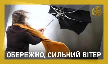 АТ «Вінницяобленерго» – особистий кабінет, передати покази лічильника, кол-центр 0 (800) 30-95-95 Нагадуємо правила безпеки_0