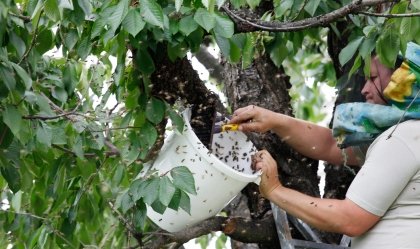 АТ «Вінницяобленерго» – особистий кабінет, передати покази лічильника, кол-центр 0 (800) 30-95-95 Новини_6