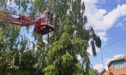 АТ «Вінницяобленерго» – особистий кабінет, передати покази лічильника, кол-центр 0 (800) 30-95-95 Новини_7