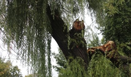 АТ «Вінницяобленерго» – особистий кабінет, передати покази лічильника, кол-центр 0 (800) 30-95-95 Новини_3