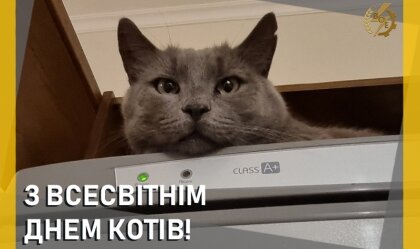 АТ «Вінницяобленерго» – особистий кабінет, передати покази лічильника, кол-центр 0 (800) 30-95-95 Новини_11