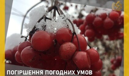 АТ «Вінницяобленерго» – особистий кабінет, передати покази лічильника, кол-центр 0 (800) 30-95-95 Новини_0