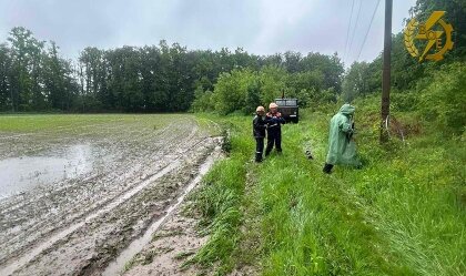 АТ «Вінницяобленерго» – особистий кабінет, передати покази лічильника, кол-центр 0 (800) 30-95-95 Новини_0